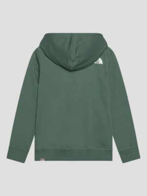 Forest green north face 2024 hoodie